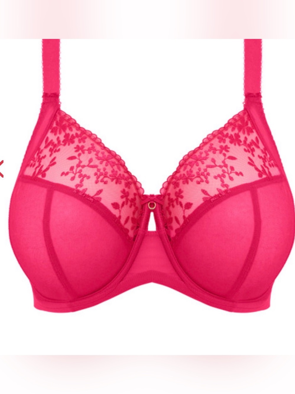 Elomi Hot Pink Embroidered Zarla Full Cup Bra 34GG UK